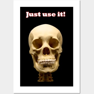 Just use it! Skull Posters and Art